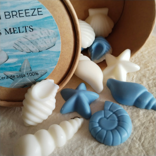 wax melts de cera de soja , colección de verano con aroma a brisa de mar. ideal para regalos y perfumar el hogar.